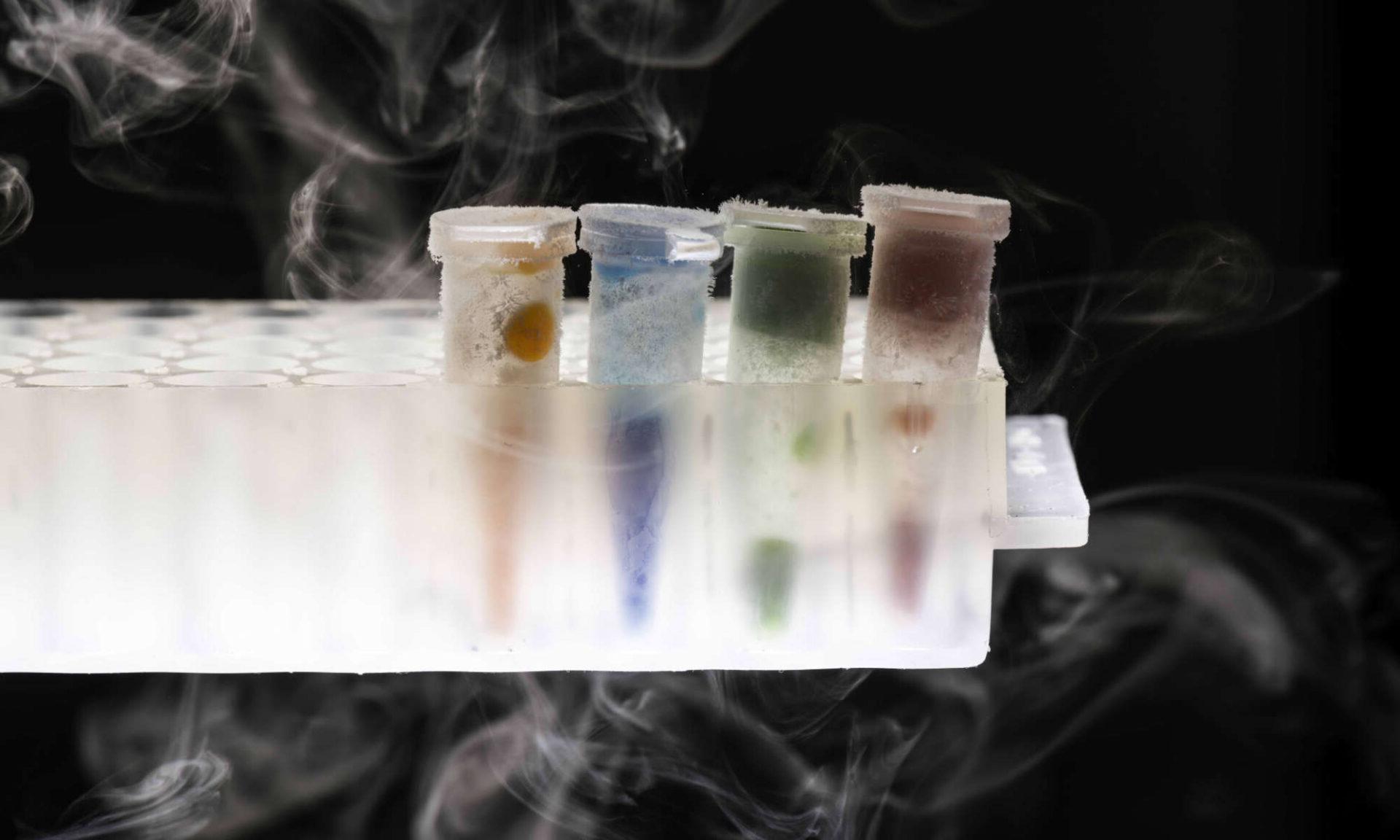 Four tubes, each a different color, containing hydrogels frozen in liquid nitrogen and obtained via 3d bioprinting.